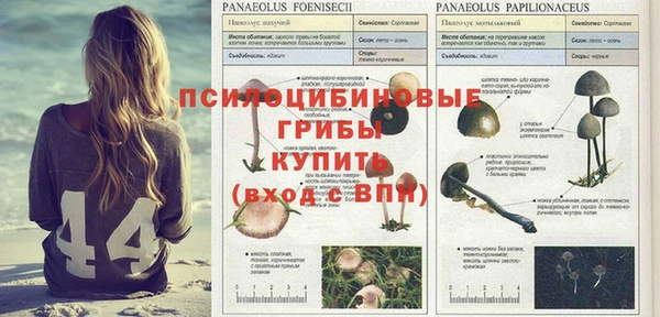 круглые Киреевск